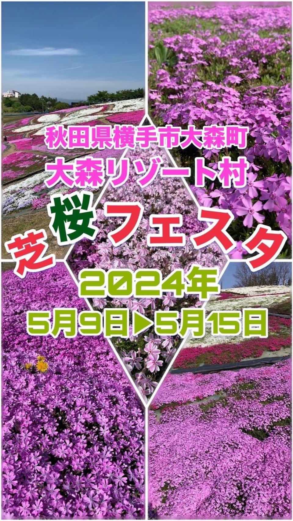 Hotel Dolphia-Adult Only Daisen  Exterior foto